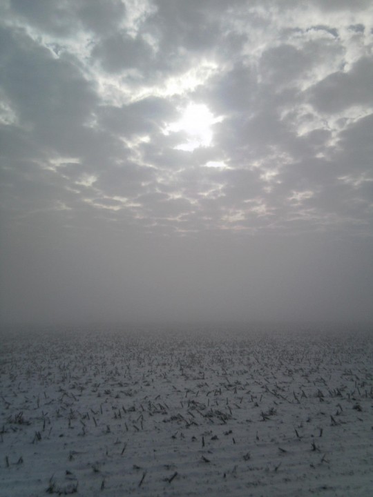 Mist over Westerland, nabij de Hollebalg. Fotostudio Henk-Jan Wittink