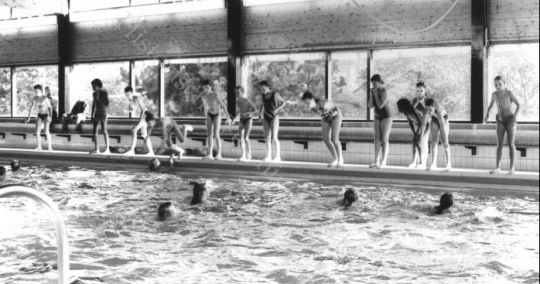 Kim Domingo Nude In Swimming Pool - Wieringernieuws.nl - Woensdag 14 juni 2023