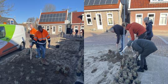 Nieuwe struiken fleuren kruising (straks) op